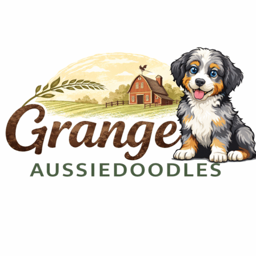 Lazzaro Aussiedoodles