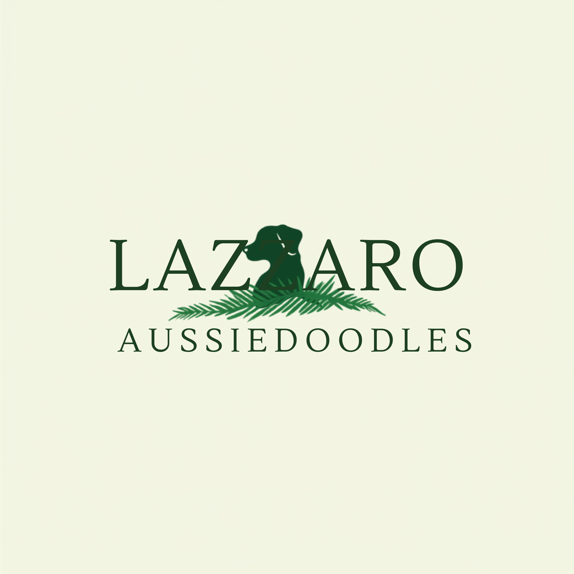 Lazzaro Aussiedoodles
